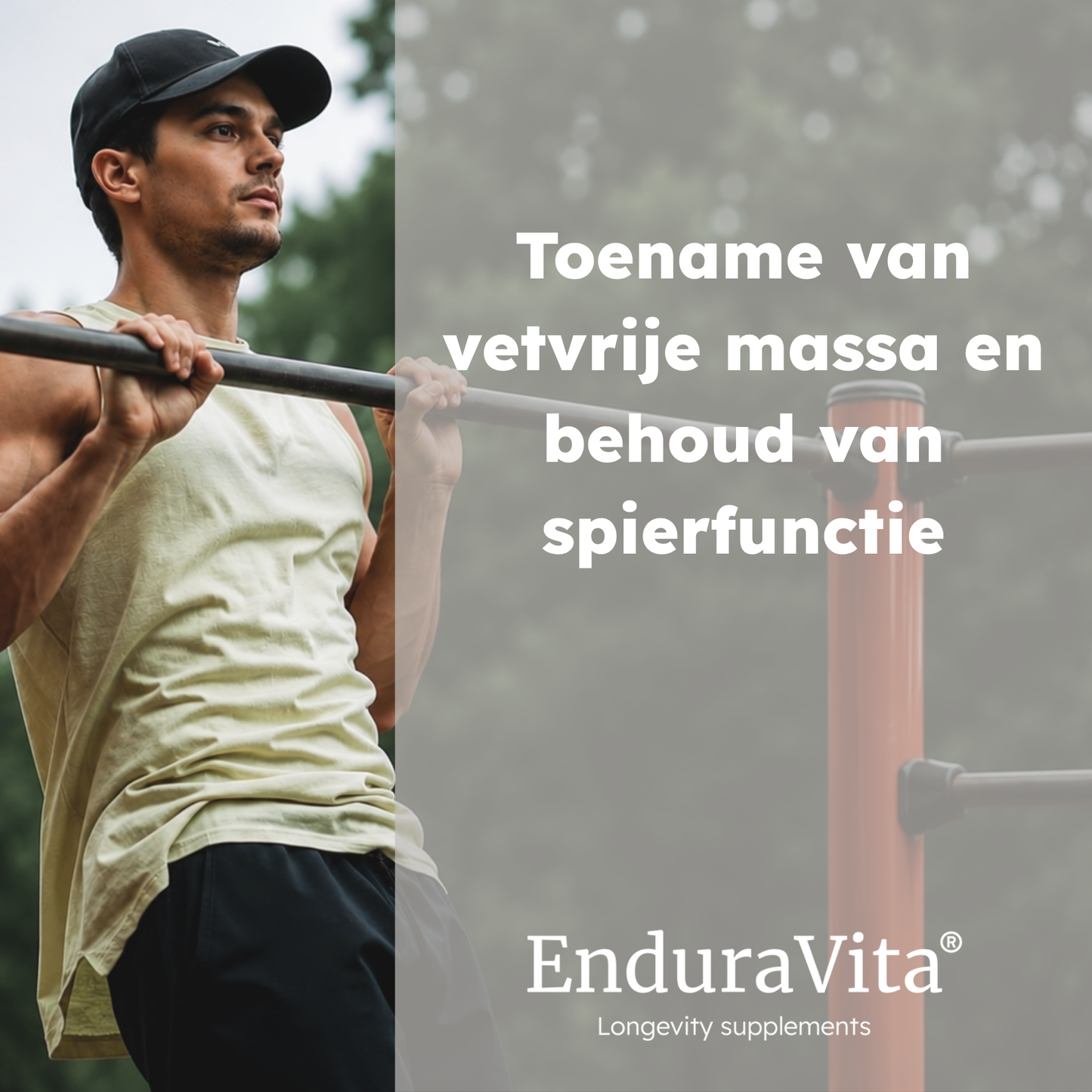 Pure creatine powder